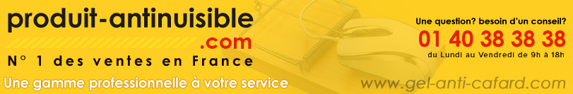 ce que mange le cafard